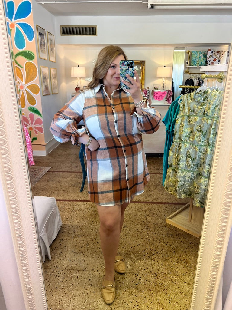 Plaid Ruffle Sleeve Dress