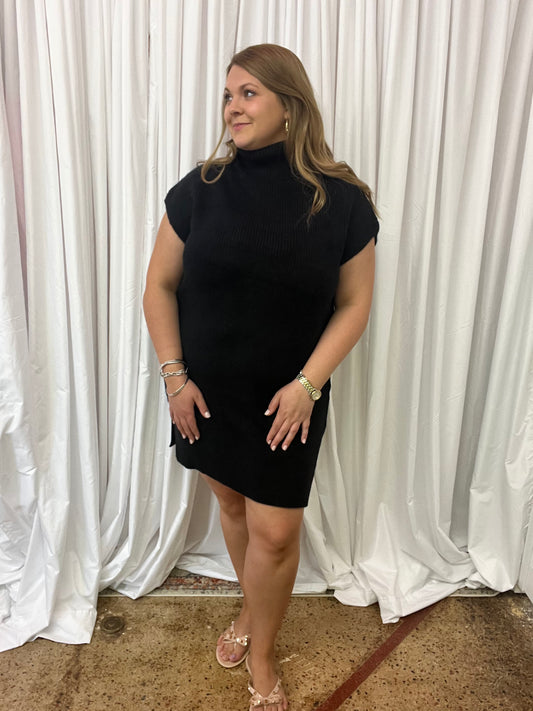 Turtle Neck Sweater Dress
