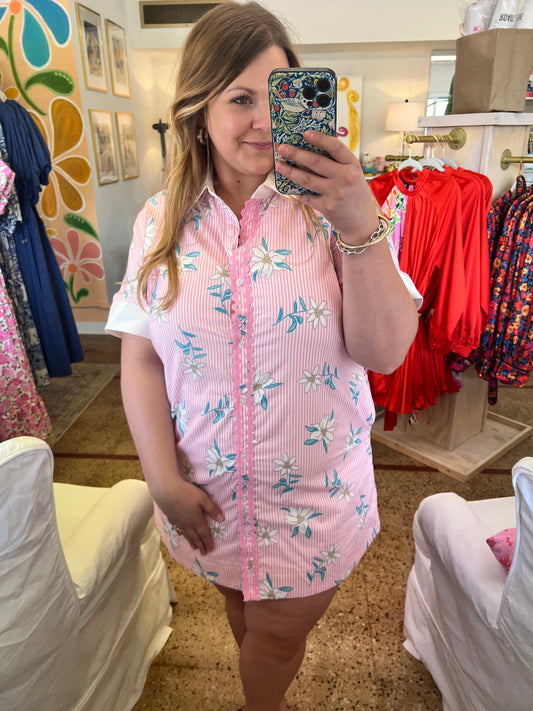 Pink Stripe Floral Mini Dress