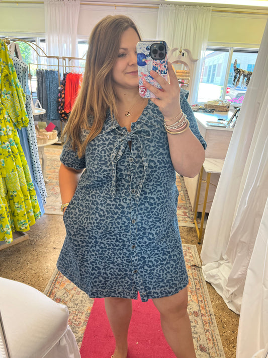 Denim Leopard Dress
